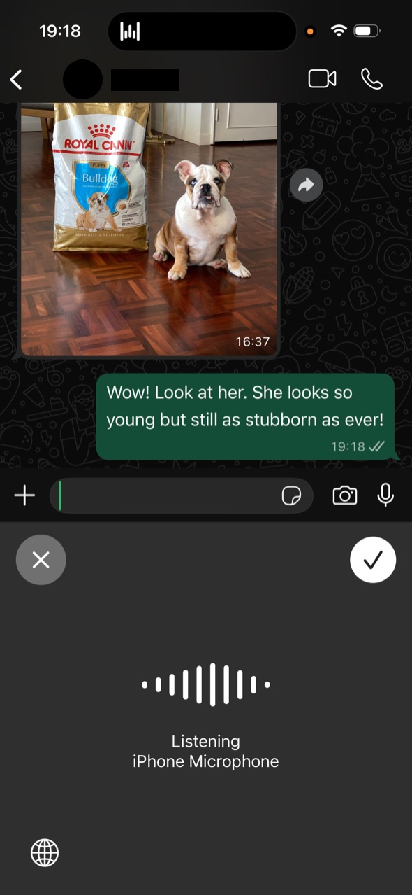 Wispr Flow dictating into WhatsApp on iPhone showing the listening interface